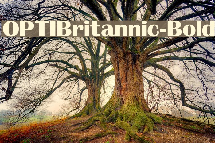 OPTIBritannic-Bold Example 1