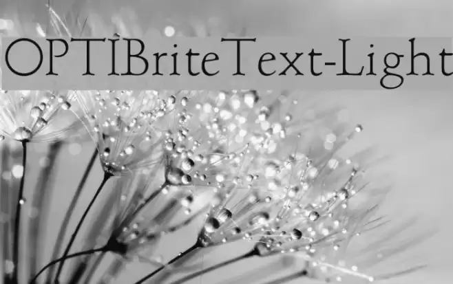 OPTIBriteText-Light Font examples