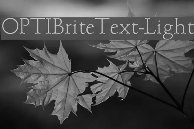 OPTIBriteText-Light Font examples