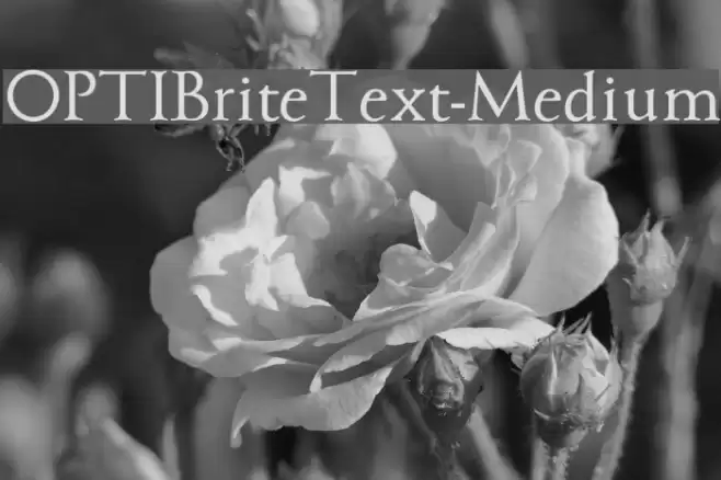 OPTIBriteText-Medium Font examples