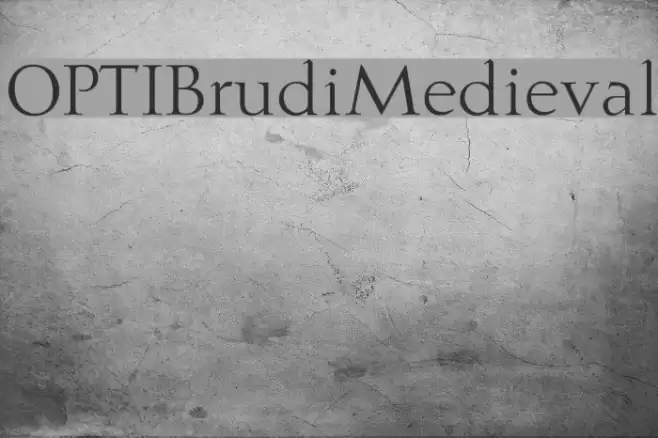OPTIBrudiMedieval  examples
