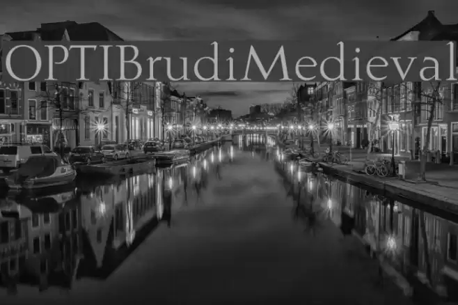 OPTIBrudiMedieval  examples