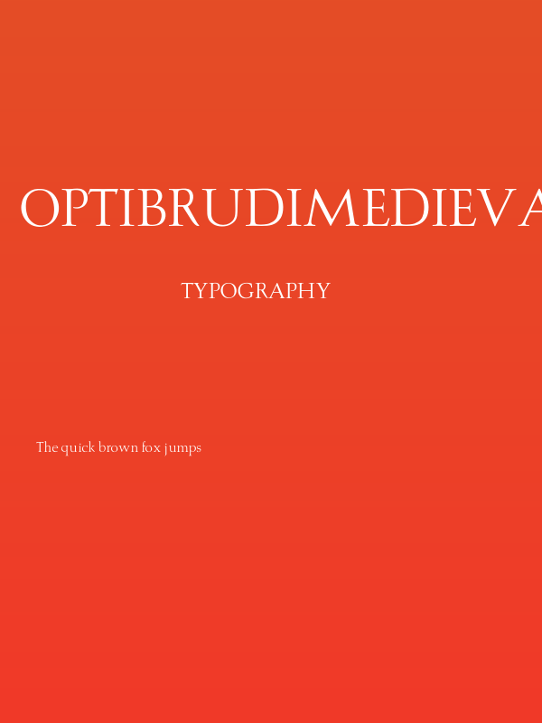 OPTIBrudiMedieval Poster