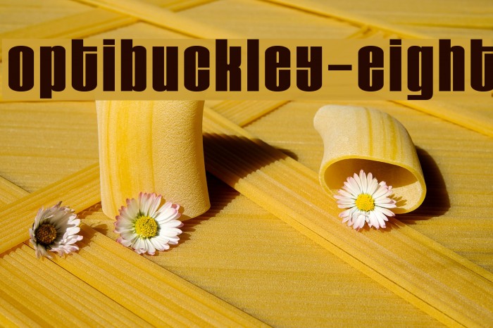 OPTIBuckley-Eight Example 2