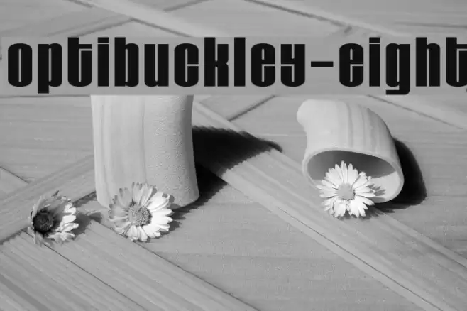 OPTIBuckley-Eight Font examples