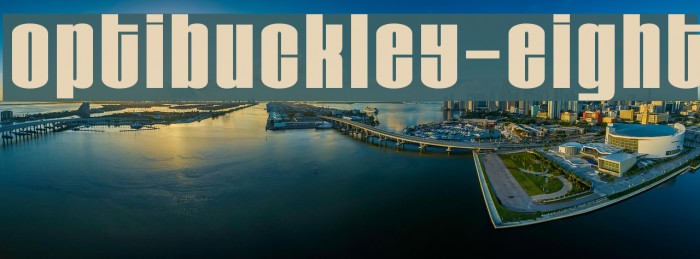 OPTIBuckley-Eight Example 3