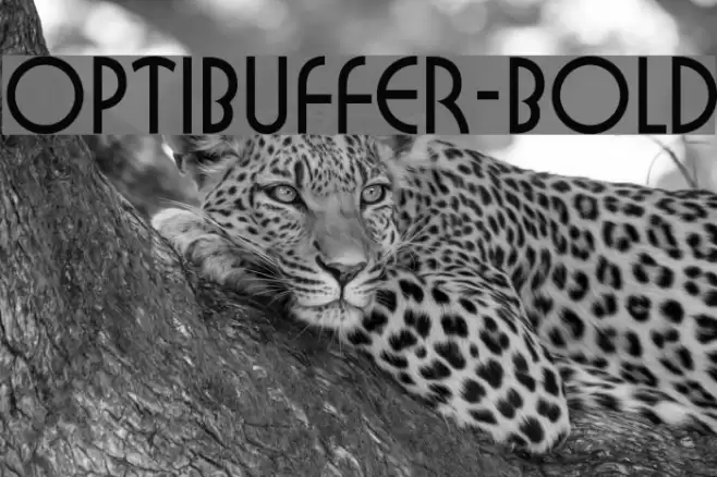 OPTIBuffer-Bold Fonte examples