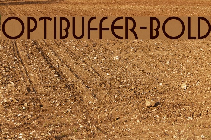 OPTIBuffer-Bold Font examples