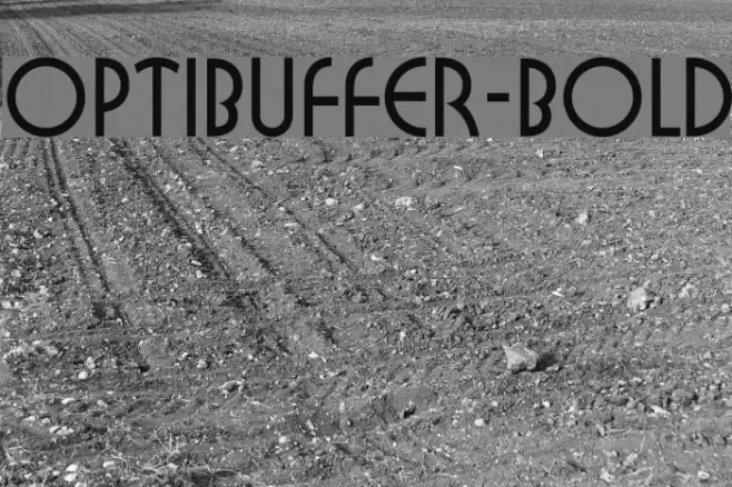OPTIBuffer-Bold Fonte examples