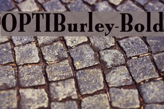OPTIBurley-Bold Example 1