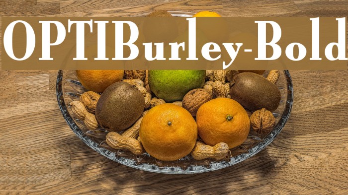 OPTIBurley-Bold Font examples