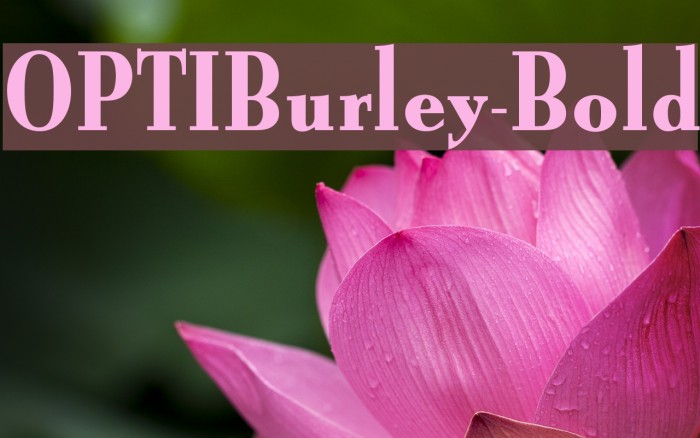 OPTIBurley-Bold Font examples