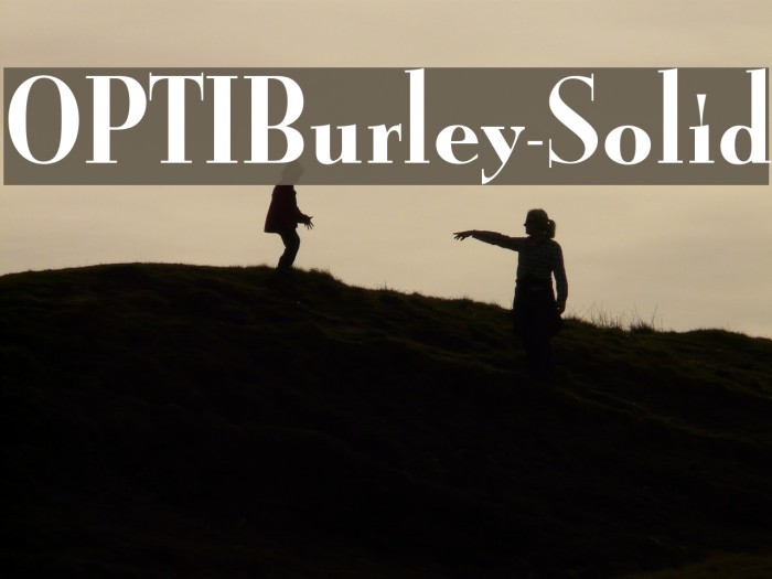 OPTIBurley-Solid Example 1