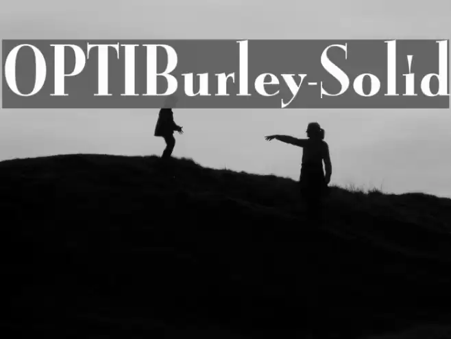OPTIBurley-Solid Font examples