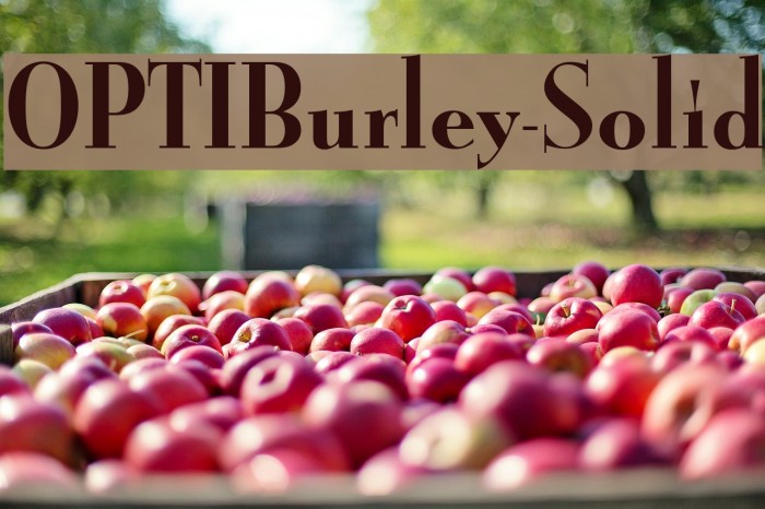 OPTIBurley-Solid Example 2