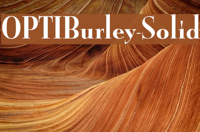 OPTIBurley-Solid Example 3