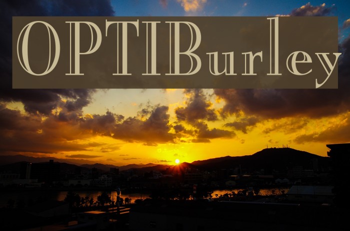 OPTIBurley Font examples
