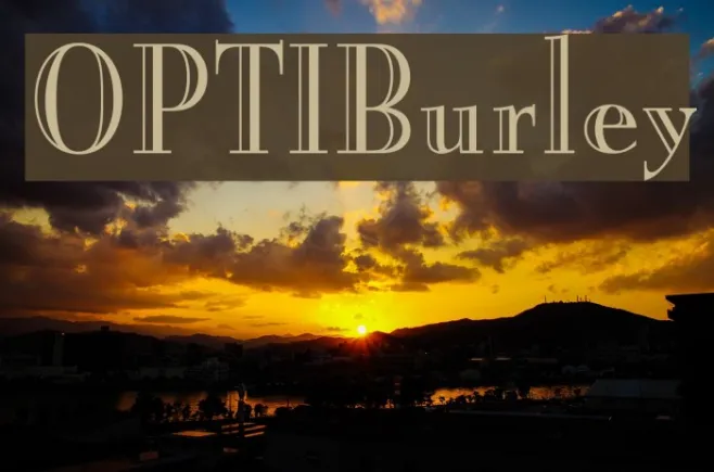 OPTIBurley Example 1