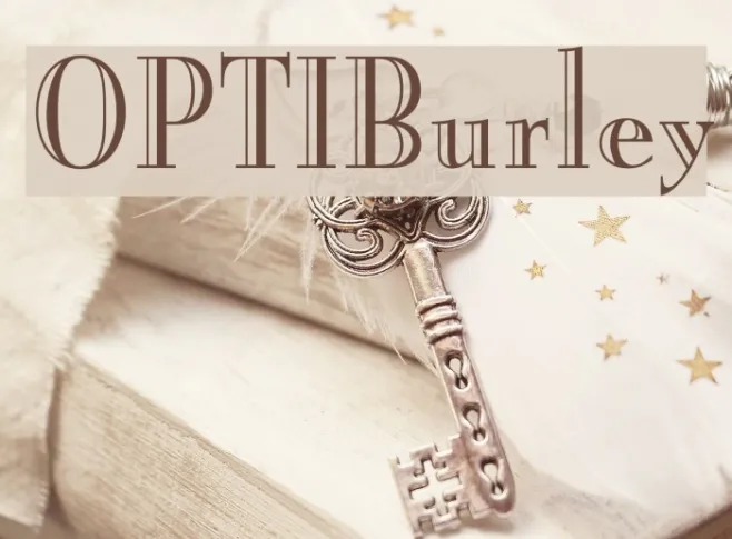 OPTIBurley Example 2