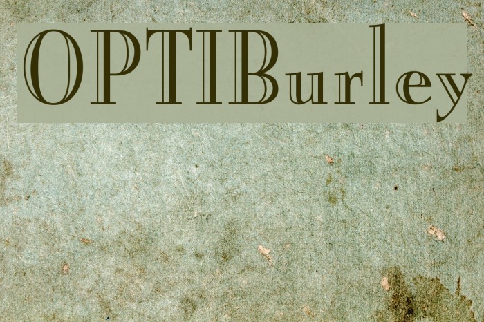 OPTIBurley Font examples