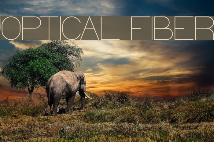 OPTICAL FIBER Font examples