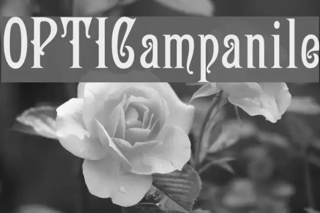 OPTICampanile Font examples