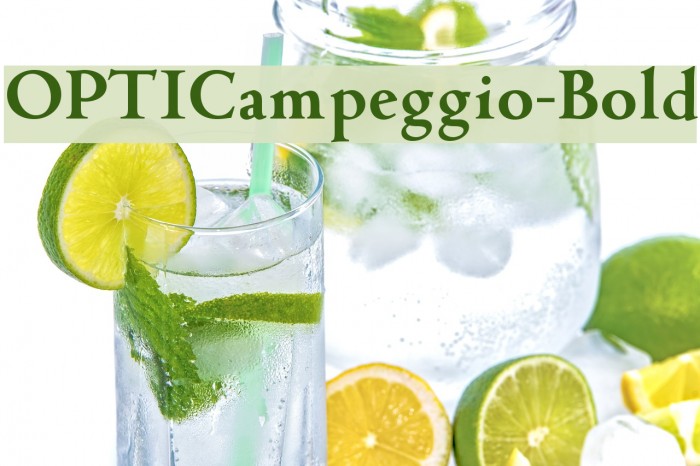 OPTICampeggio-Bold Font examples