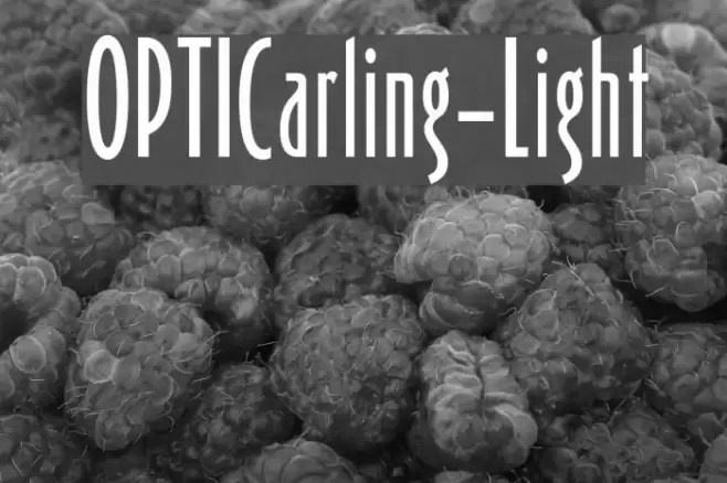 OPTICarling-Light Font examples