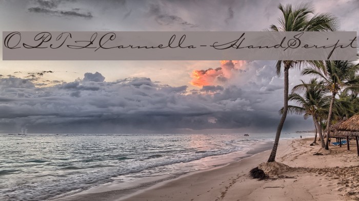 OPTICarmella-HandScript Example 1