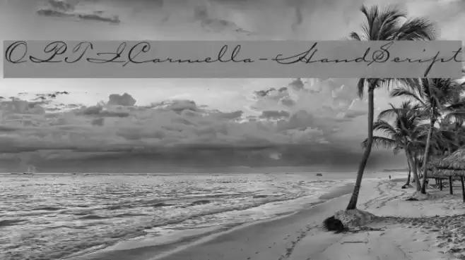 OPTICarmella-HandScript Font examples