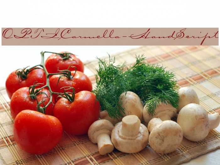 OPTICarmella-HandScript Example 2