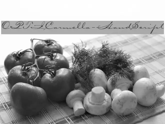 OPTICarmella-HandScript Font examples