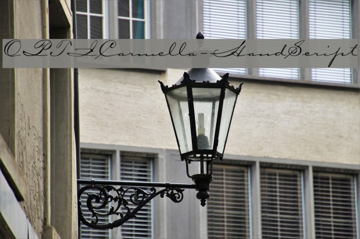 OPTICarmella-HandScript Example 3