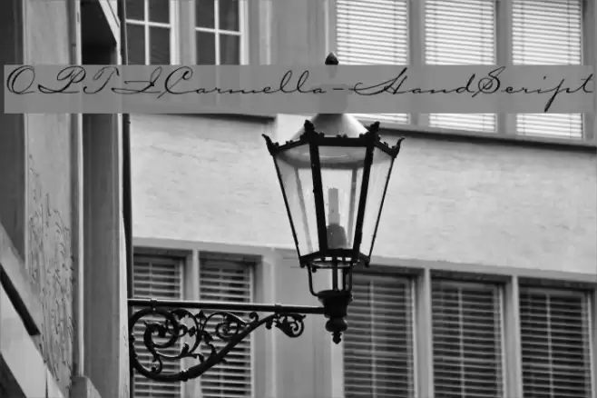 OPTICarmella-HandScript Font examples