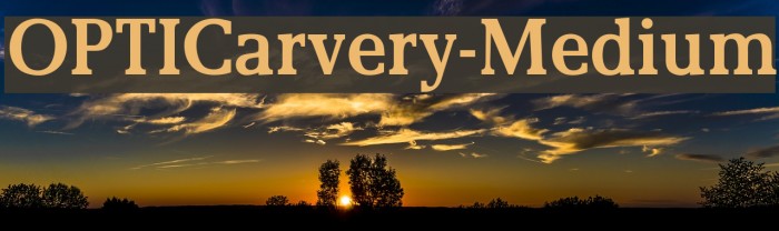 OPTICarvery-Medium Font examples