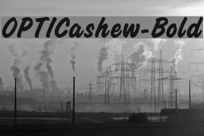 OPTICashew-Bold Font examples