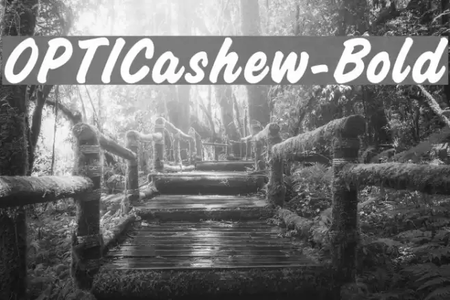 OPTICashew-Bold Font examples