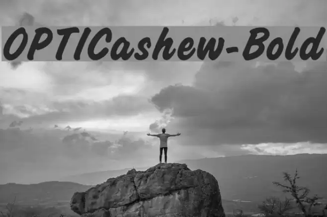 OPTICashew-Bold Font examples