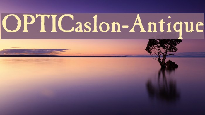 OPTICaslon-Antique Font examples