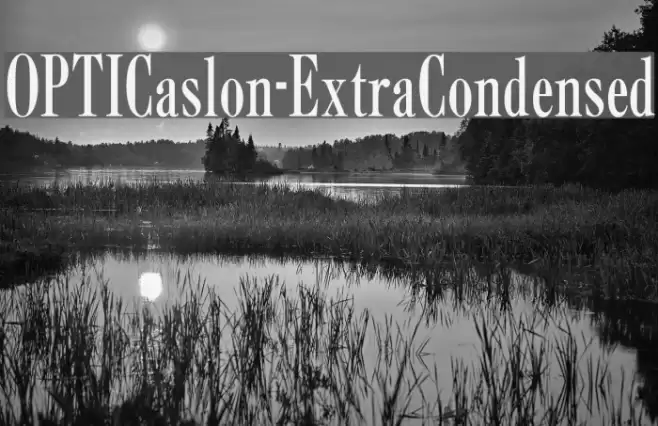 OPTICaslon-ExtraCondensed Font examples