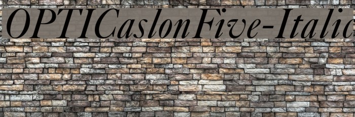 OPTICaslonFive-Italic Font examples
