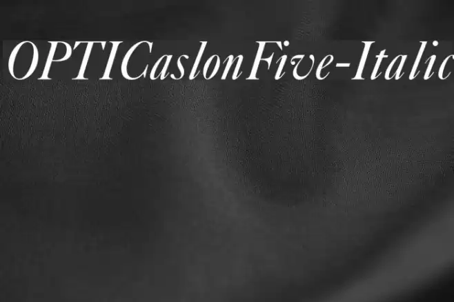 OPTICaslonFive-Italic  examples