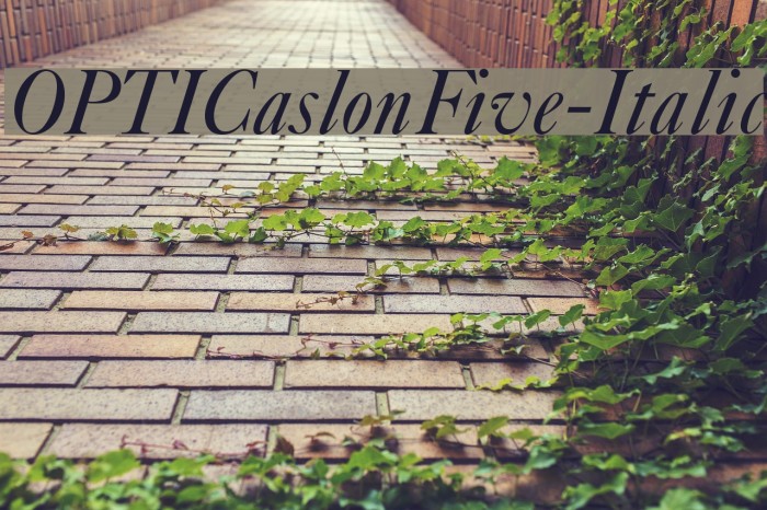 OPTICaslonFive-Italic Font examples