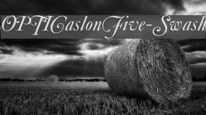 OPTICaslonFive-Swash Font examples
