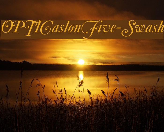 OPTICaslonFive-Swash Font examples
