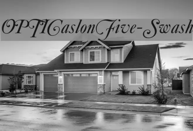 OPTICaslonFive-Swash Font examples