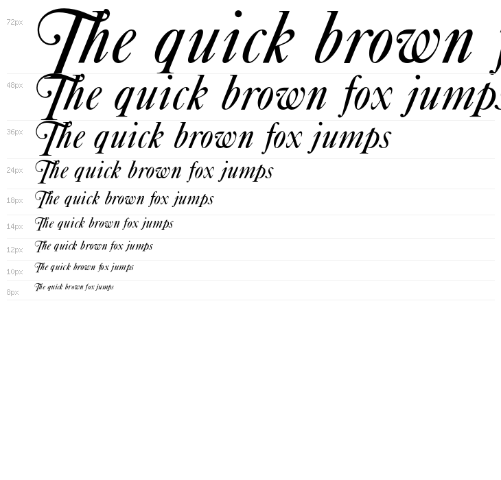 OPTICaslonFive-Swash Waterfall