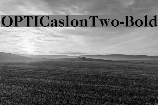 OPTICaslonTwo-Bold Font examples