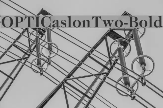 OPTICaslonTwo-Bold Font examples