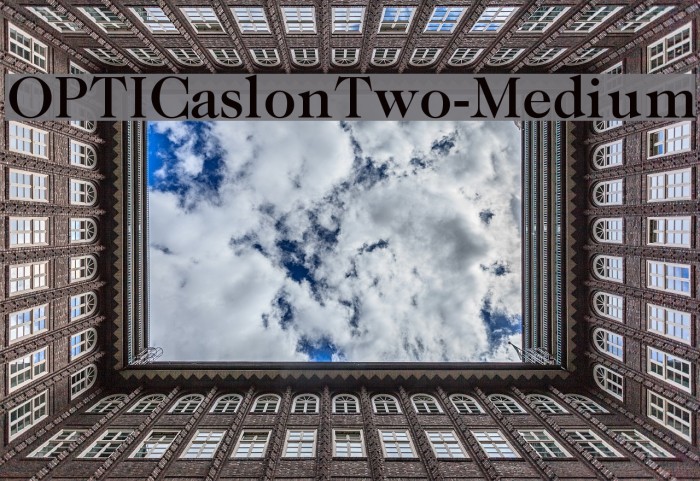 OPTICaslonTwo-Medium Example 1